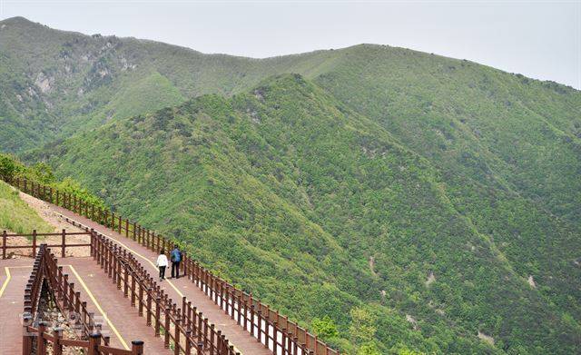 모노레일을 타고 오르는 단산 정상에는 짧은 구간 목재 산책로가 조성돼 있어, 등산을 하지 못하는 아쉬움을 달랠 수 있다.