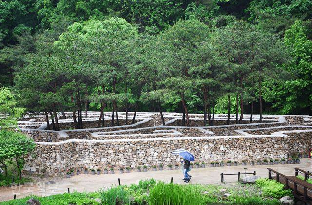 문경새재 초입에 최근 개장한 미로공원. 4개 주제의 미로와 생태 습지로 구성돼 있다.