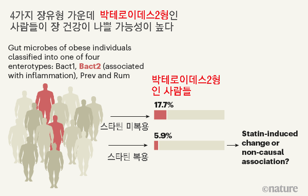 지난 2017년 연구결과에 따르면 네 가지 장유형 가운데 박테로이데스2형(Bact2 enterotype)인 사람들은 장 건강이 나쁠 가능성이 높다. 예를 들어 염증성 장질환 환자의 75% 이상이 박테로이데스2형이다. 최근 분석 결과 비만인 사람에서 박테로이데스2형의 비율이 스타틴을 복용하지 않는 그룹은 17.7%인 반면 복용하는 그룹은 5.9%에 불과했다. 스타틴이 염증성 장질환 증상을 개선하는 효과가 있을지도 모른다는 말이다. 네이처 제공