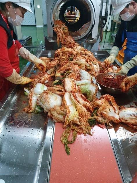 스마트공장 기술이 적용된 한 김치공장에서 직원들이 ‘양념 소 넣기’ 기계에서 나온 배추를 다듬고 있다. 안대규 기자