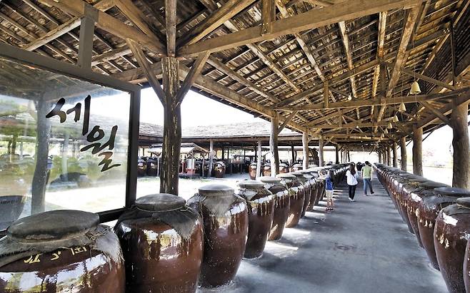 술 익는 대형 항아리 즐비한 포천 산사원의 ‘세월랑’. /한준호 영상미디어 기자