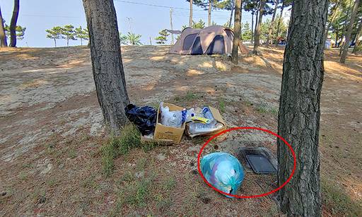 'BTS버스정류장' 인근 소나무 숲 곳곳에는 음식물 담긴 종이 상자와 고기를 구워 먹은 듯 검게 그을린 석쇠가 버려져 있는 모습.