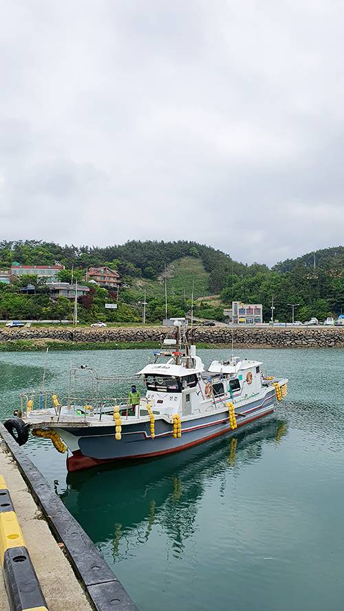 태안 모항항 선착장