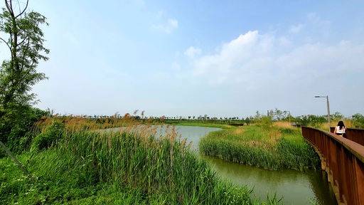 김포한강야생조류생태공원