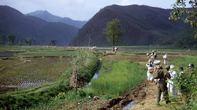 1951년 3월쯤 군 야전 캠프가 있는 산간마을을 지나는 피란민 행렬