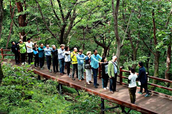 국립산림치유원의 숲산책 [사진 제공 = 산림청]