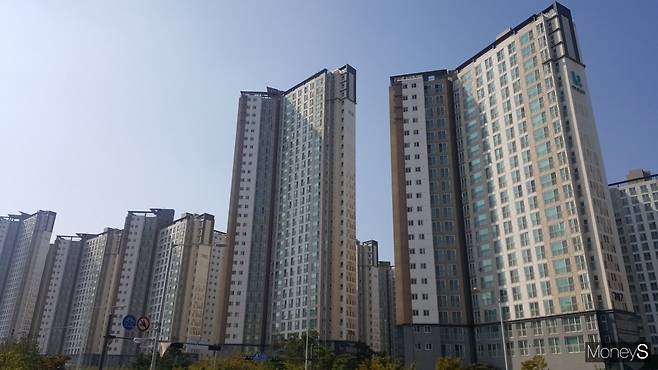정부 규제에 따른 풍선효과로 집값이 급등한 경기 김포일대 한 아파트 밀집 지역. /사진=김창성 기자