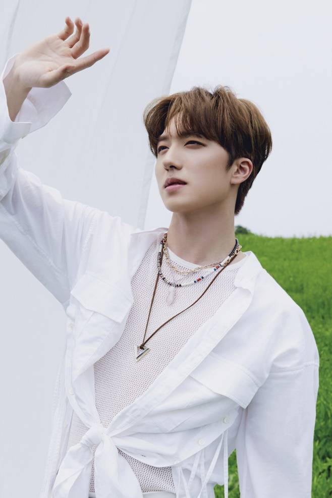 찬희