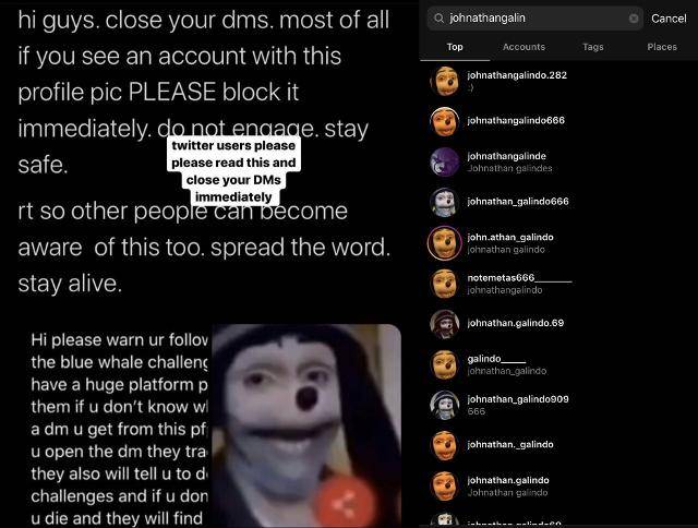 사회관계망서비스(SNS) 상에 확산되고 있는 흰긴수염고래 게임 관련 이미지들. 트위터 캡처