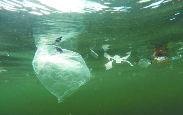 부산 광안리해수욕장 앞바다에 11일 비닐봉지 등 각종 플라스틱 쓰레기가 둥둥 떠다니고 있다. 이처럼 버려진 플라스틱이 분해돼 자연으로 돌아가려면 300~500년이 걸린다.
