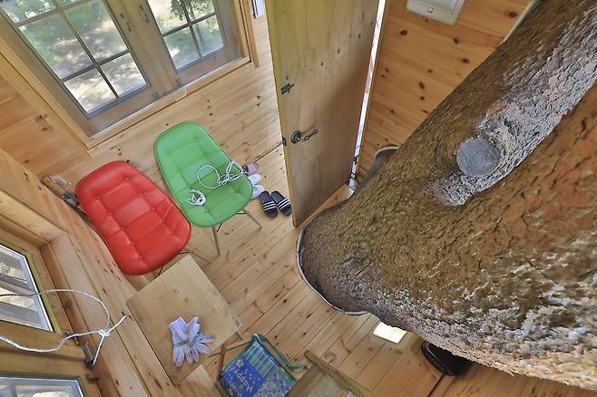 트리하우스 내부 [사진/성연재 기자]