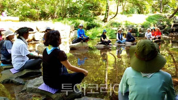 합천 오도산 치유의 숲