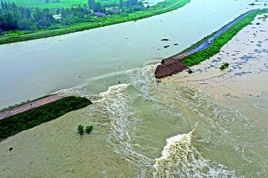 19일 오전 중국 안후이성 추저우에 위치한 추허의 제방의 두 곳이 폭파됐다. 하루 만에 수위가 3m이상 올라가자 불어난 물을 방류하기 위해 제방을 폭파한 것이다. 신화매일전신