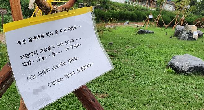 흰 참새를 지켜주세요 [촬영 양지웅]