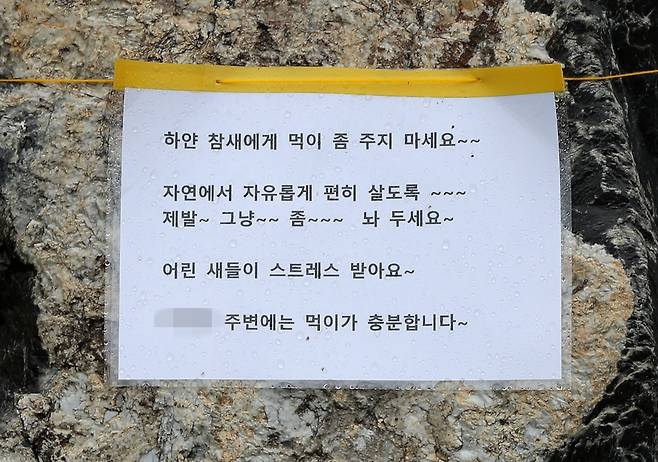 흰 참새 보호 호소문 [촬영 양지웅]