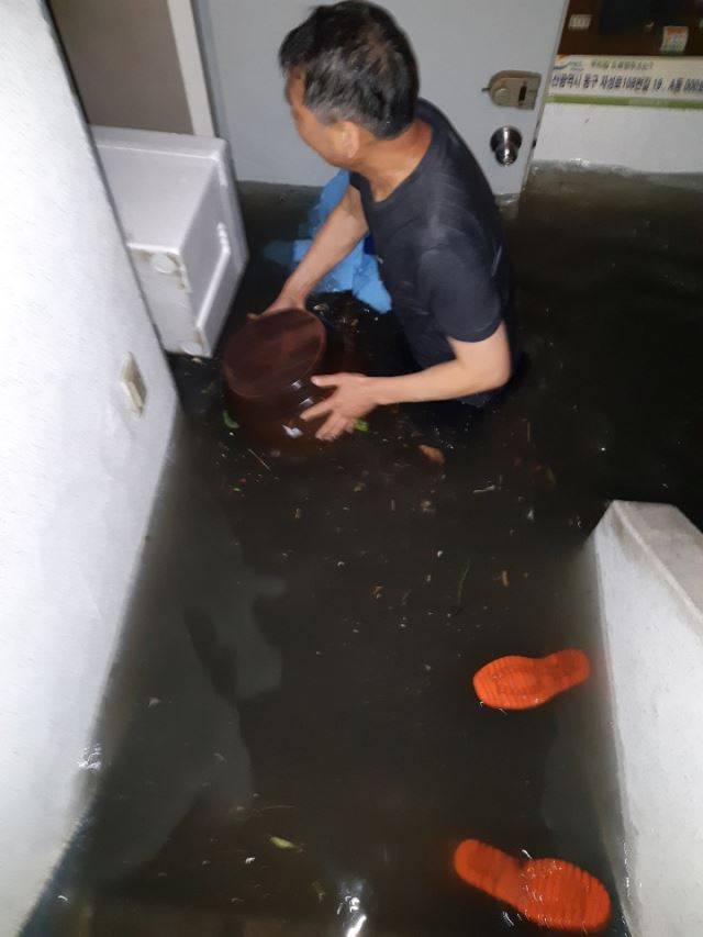자성대연립맨션 침수 피해상황. 독자 제공.