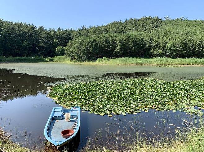 Duwung Wetland (Im Eun-byel / The Korea Herald)