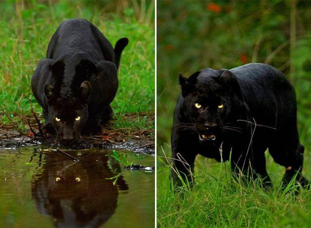 사진=미툰H 인스타그램