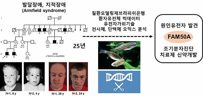 발달장애, 지적장애 환자의 가계도 및 원인유전자 발굴 및 검증과정 모식도.[충남대 제공]