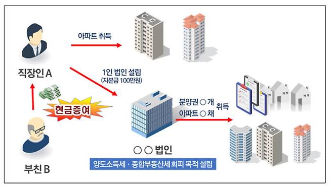 직장인 ㄱ씨가 1인 법인으로 부동산 투기를 한 사례. 국세청 제공. ※ 이미지를 누르면 크게 볼 수 있습니다.