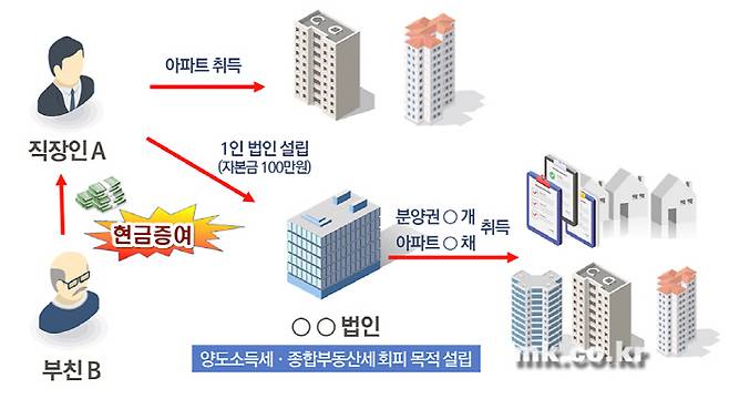 법인을 설립해 편법증여를 받아 주택 갭투자에 나선 직장인 케이스 [자료 제공 = 국세청]