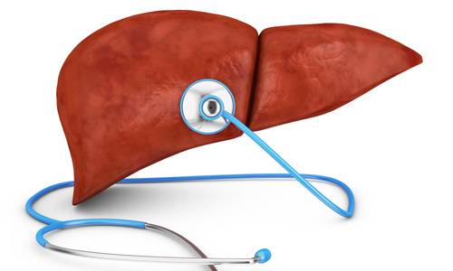 코로나19 발병 이후 비슷한 방식으로 전파되는 바이러스성 감염 질환에 대한 관심도 늘고 있다. 대표적인 질환은 간염으로, ‘간염 3대장’으로 불리는 A·B·C형 간염은 해마다 수억명을 감염시키고 있다. 클립아트코리아 제공