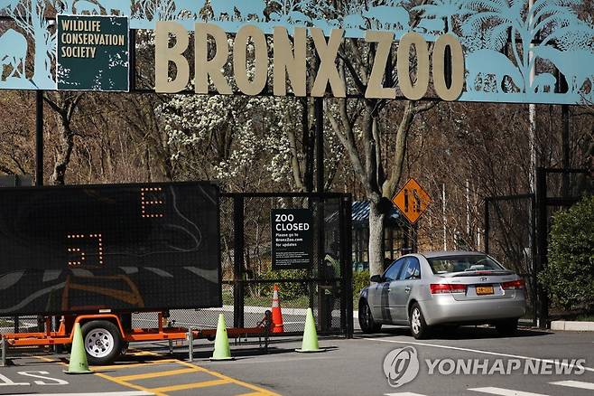 미국 뉴욕주 브롱크스 동물원 [AFP=연합뉴스]