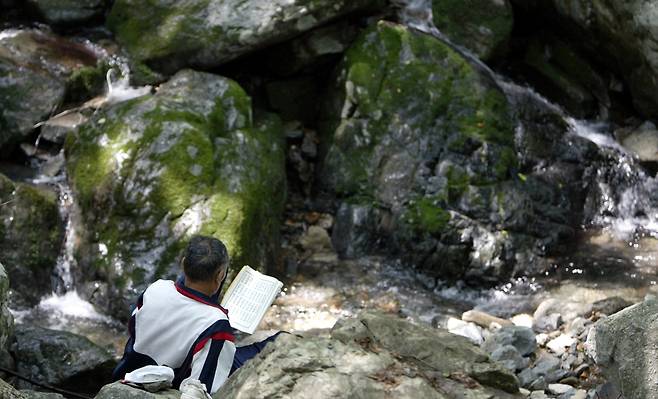계곡에서 독서삼매경. 2004년 경남 밀양시 얼음골 계곡 최병길 기자