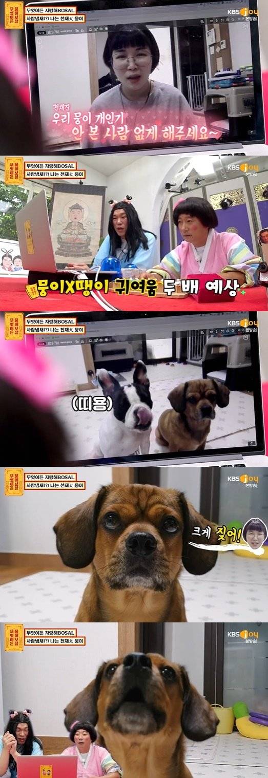 '무엇이든 물어보살'