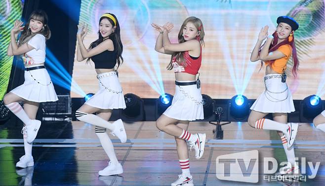 티브이데일리 포토