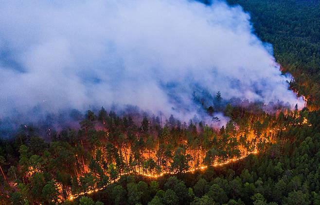 이상 고온 속 불타는 시베리아의 모습.