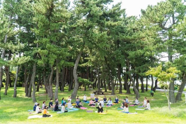 위크엔더스가 제공하는 명상 프로그램. 위크엔더스는 강릉의 자연을 활용해 ‘리트릿 오롯이, 나’라는 체험 프로그램을 제공하고 있다. /사진제공=위크엔더스