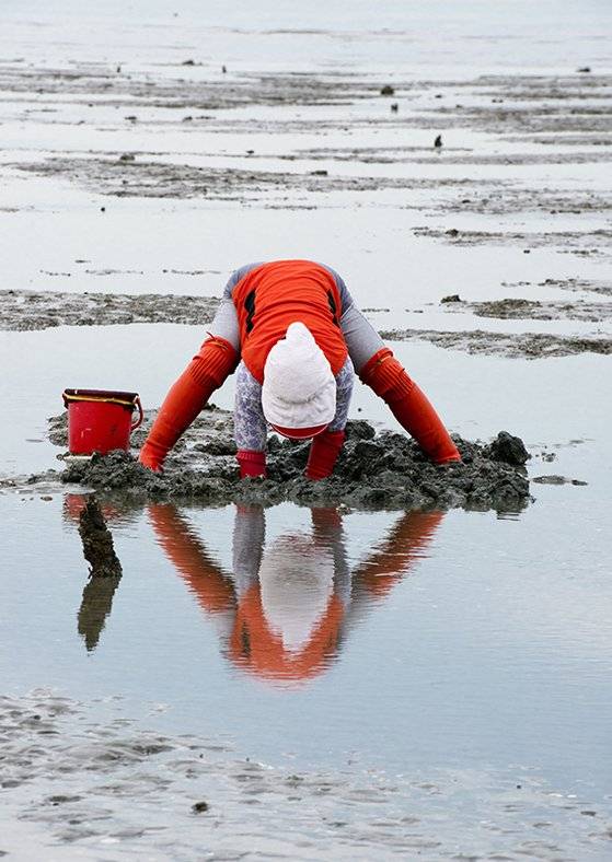 사진3 낙지잡이, 2012/ 200mm, f 14, 1/250, ISO 200, [사진 주기중]