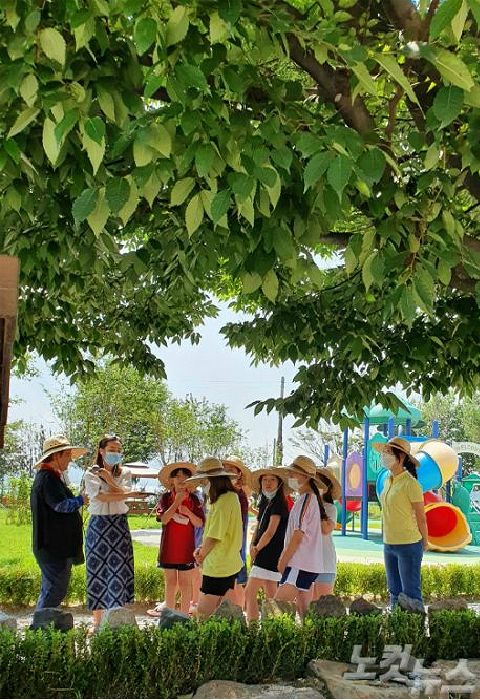 느티나무 밑 숲체험에 참여하고 있는 철원 장흥초등학교 4학년 학생들(사진=손경식 기자)