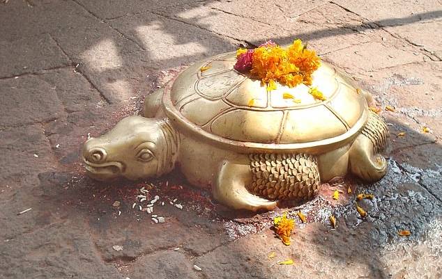 힌두교에서는 황금색을 띤 거북을 힌두교 3대 신 중 하나인 비슈누의 제2 현신으로 여려 숭배한다