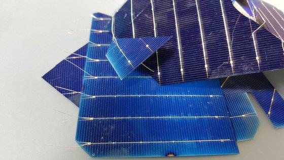 태양광 패널의 핵심인 '셀(cell)'을 가까이에서 본 모습. 사진은 제조 과정에서 오차가 생겨 폐기한 셀이다. 파란 실리콘 사이사이 얇게 박혀있는 은 도선을 통해 전류가 모인다. 실리콘 셀 자체의 두께는 1㎜도 채 되지 않고, 손으로도 쉽게 부술 수 있을 만큼 약하다. 그래서 약한 셀을 두껍게 덮는 강화유리와 테두리를 고정하는 알루미늄 틀이 태양광 패널 무게의 대부분을 차지한다. 김정연 기자