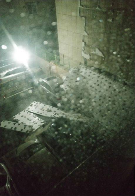 (사진=독자 제공)