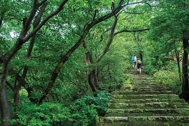 원효봉 등산로는 돌계단으로 잘 정비돼 있어 어려움이 없다.