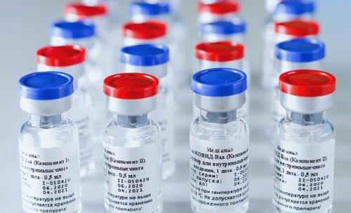 러시아가 개발한 스푸트니크 V 코로나19 백신 [러시아 직접투자펀드(RDIF) 사이트 캡처. 재판매 및 DB 금지]
