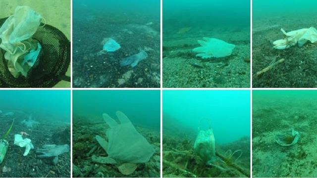 지난 6월 남프랑스 코트다쥐르 해안 바닷속에서 마스크와 장갑 등의 쓰레기가 대거 발견됐다.(사진=오퍼레이션 메르 프로페/페이스북)