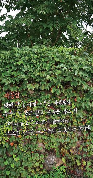 속초 상도문마을 돌담에 새긴 ‘구곡가’. 구곡가는 주변의 아홉 경치를 노래한 시다.