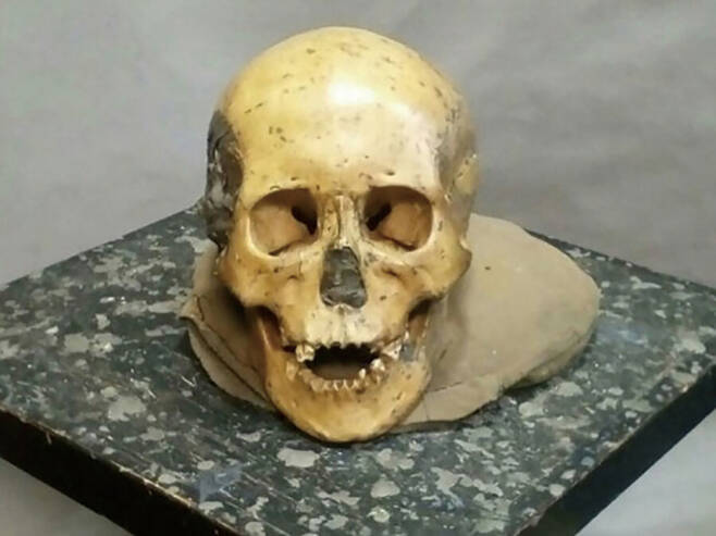 러시아 극동 지방의 악마문동굴에서 발견된 머리뼈 ⓒUNIST 제공