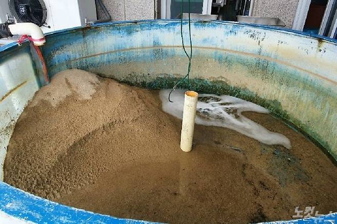 모래더미가 된 수족관 내부(사진=유선희 기자)
