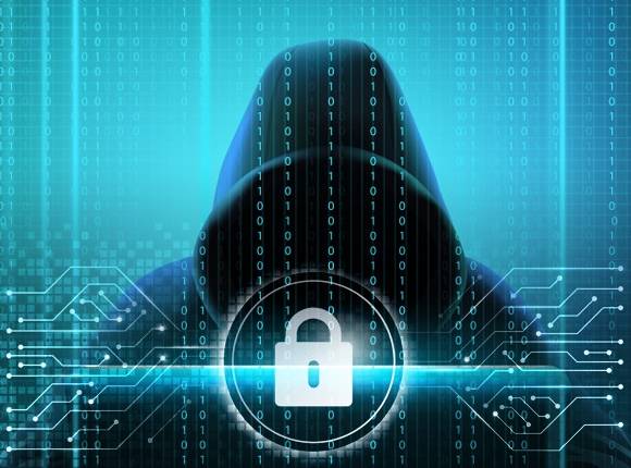 [그래픽=아이뉴스24DB]