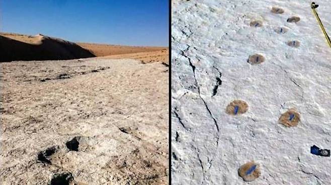 사우디 사막서 12만 년 전 고인류 발자국 발견…“한때 호수 있던 초원”(사진=AFP 연합뉴스)