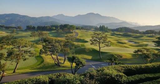 경기 용인 아시아나CC 전경. /홈페이지