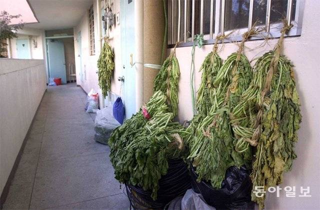 18일 서울 강서구의 한 임대아파트에서 60대 기초생활수급자가 홀로 숨진
채 발견됐다. 동아일보DB