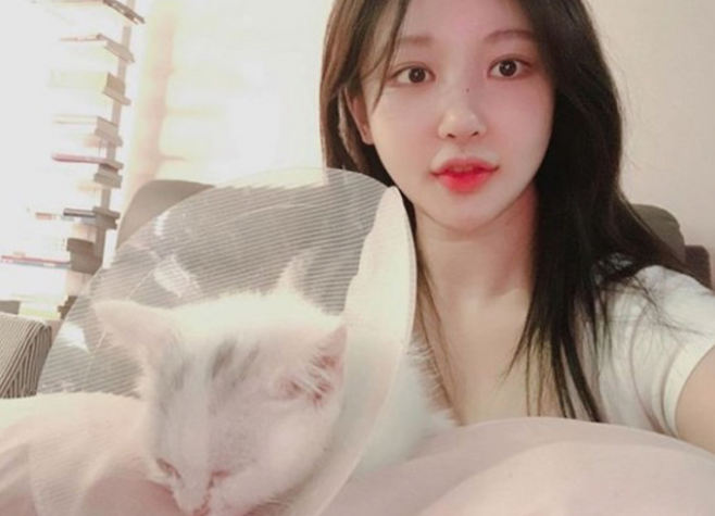 BJ 아지땅 사회관계망서비스(SNS) 캡처