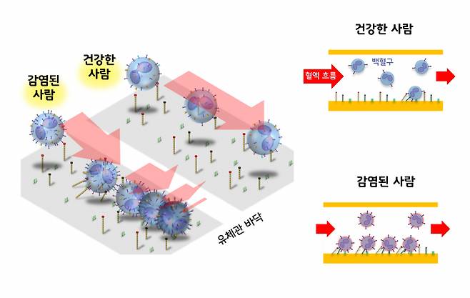 미세 유체 칩의 원리 모식도.[UNIST 제공]
