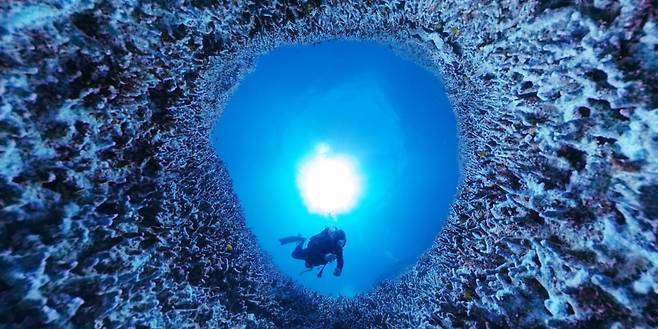 지난달 23일 촬영한 호주 북동부 바다에 있는 세계 최대 산호초 '그레이트배리어리프'. 백화 현상을 앓아 색을 잃은 산호를 360도 VR카메라에 담았다. 사진 리처드 피츠패트릭